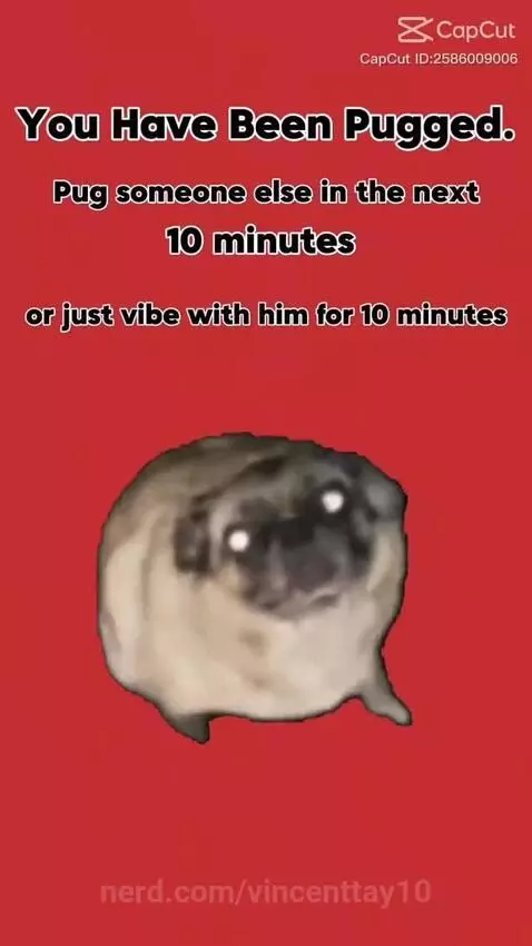 Video by vincenttay10