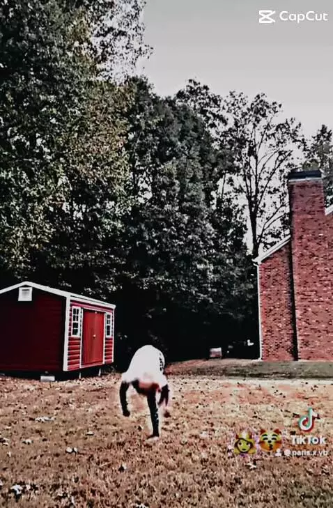 Video by obeythenamezari