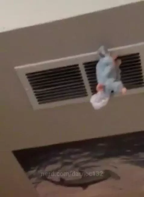 bro is living the life by darnoc132