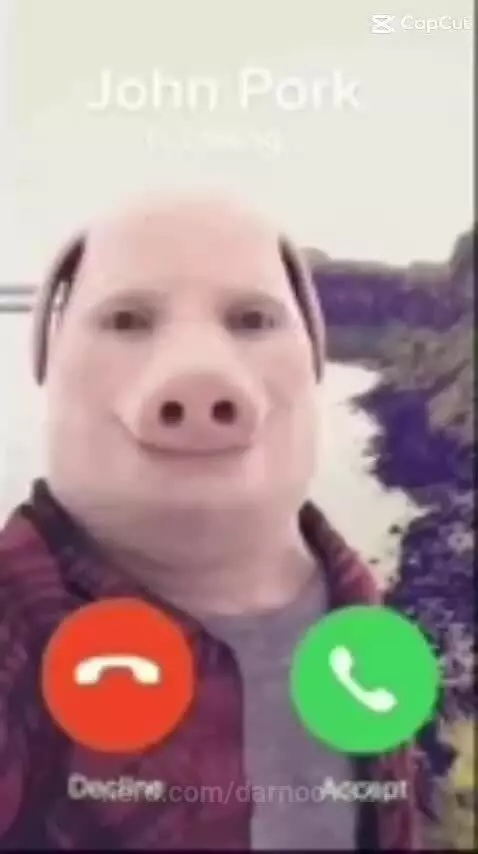 video poster