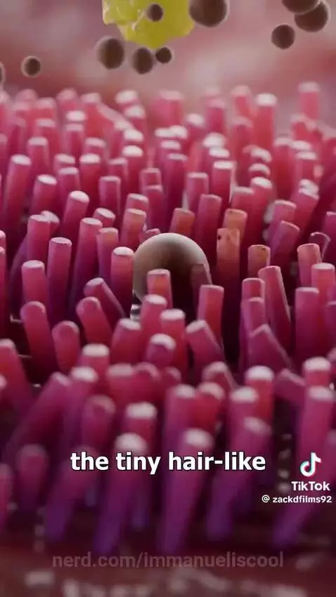 Video by immanueliscool