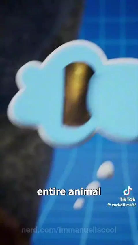 Video by immanueliscool