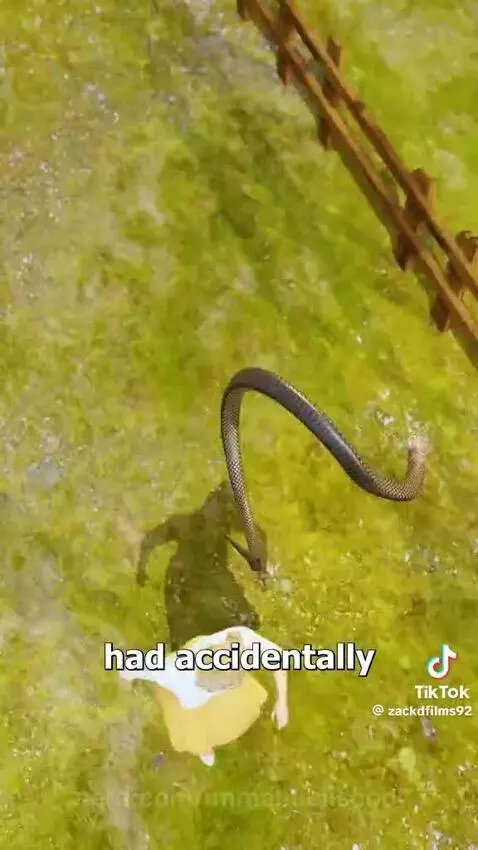 Video by immanueliscool