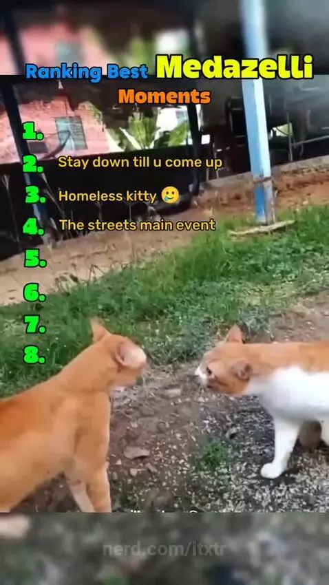 itxtr post preview