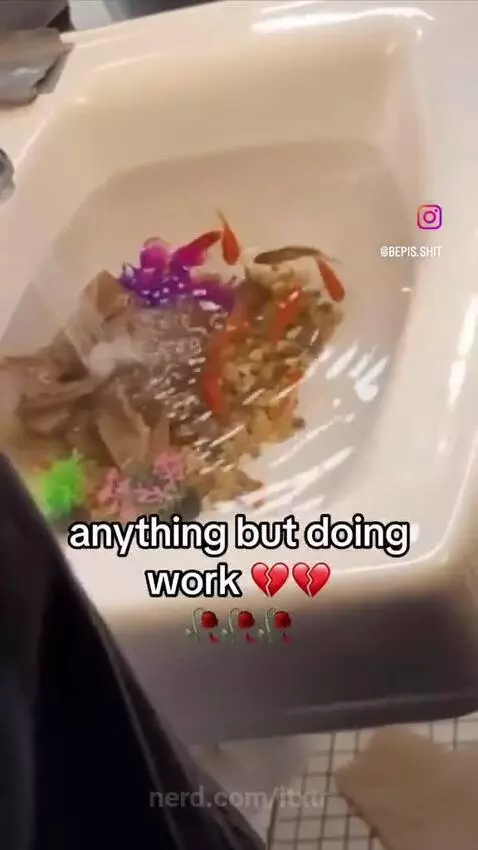 school, work by itxtr