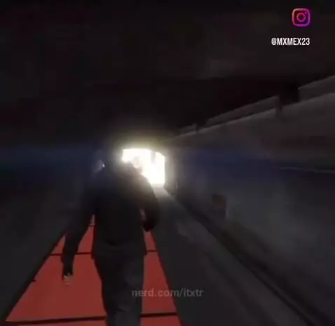 gta, gta5, funny by itxtr