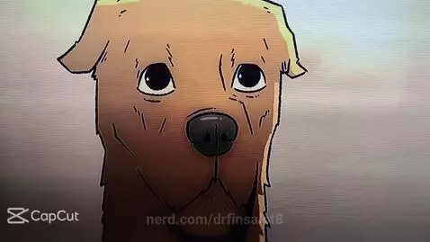 They ruined this show by drfinsalot8