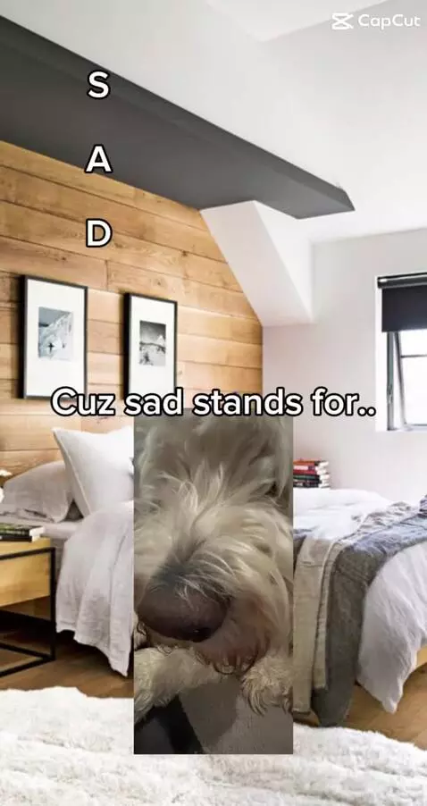 Dinosaur✨ by snoopyyyyyy