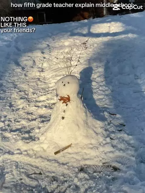 Guys this is Mr. Snowy✨💗 by snoopyyyyyy