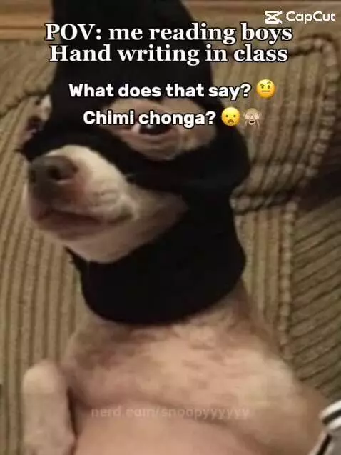 ✨cHiMi ChOnGa✨ by snoopyyyyyy