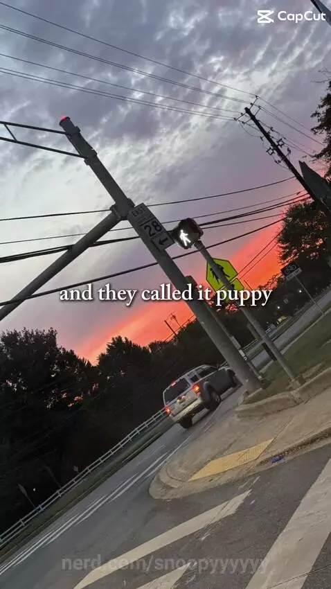 I LOVE MY DOG (ik ppl probably dont care tho) by snoopyyyyyy