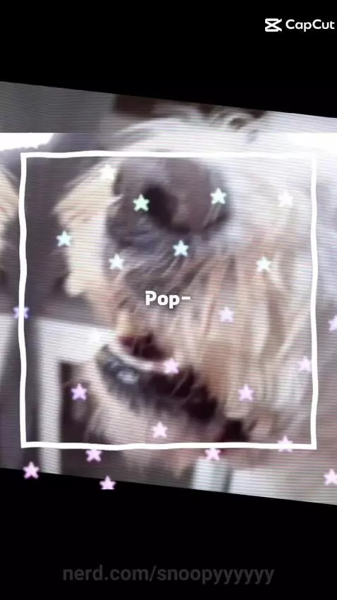 This song is lwk kinda catchy! by snoopyyyyyy