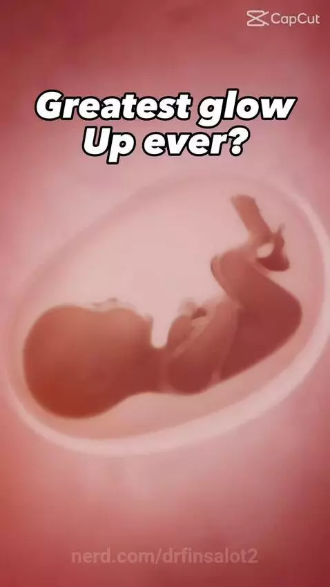 The rock by drfinsalot2