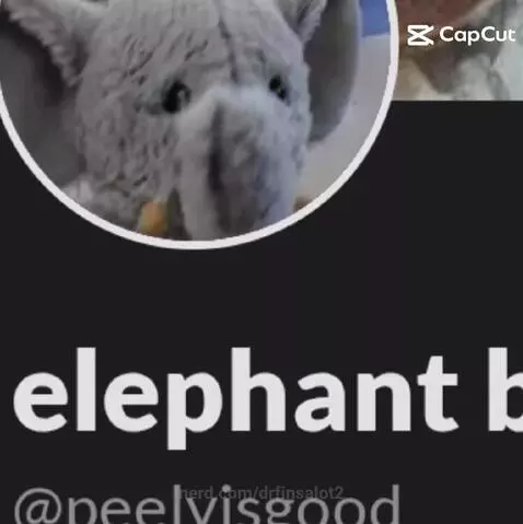 Shout out to top five by drfinsalot2