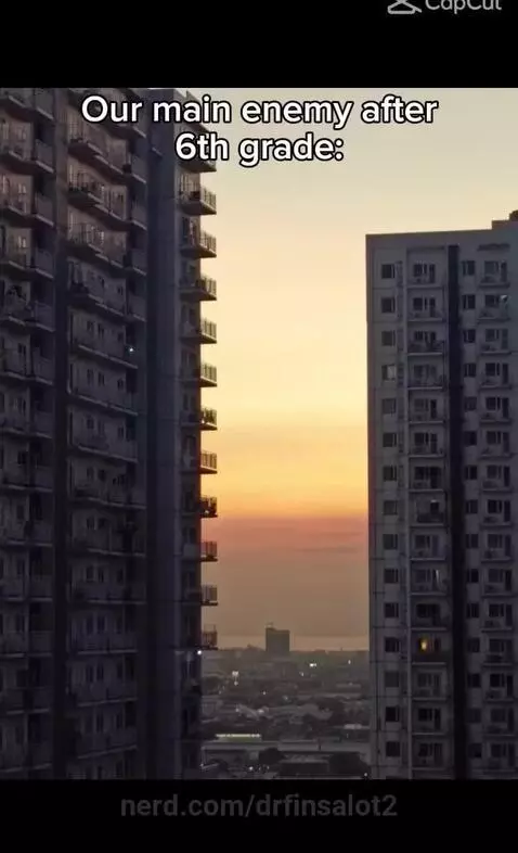 Facts by drfinsalot2