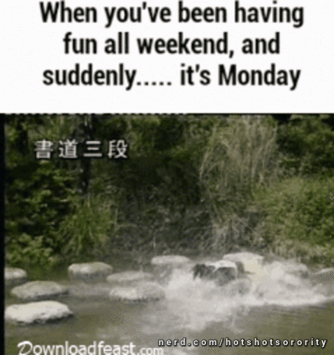 Video by hotshotsorority