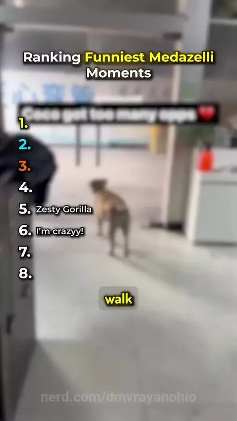 Funny animal moments cool by dmvrayanohio