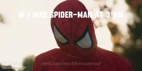 mcchikinsarecool post preview