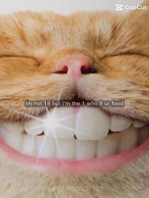 I 8 your food by ttabc123