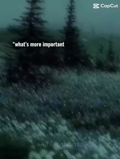 video poster