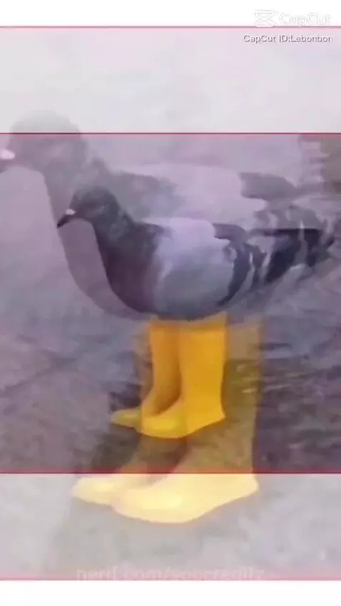 video poster
