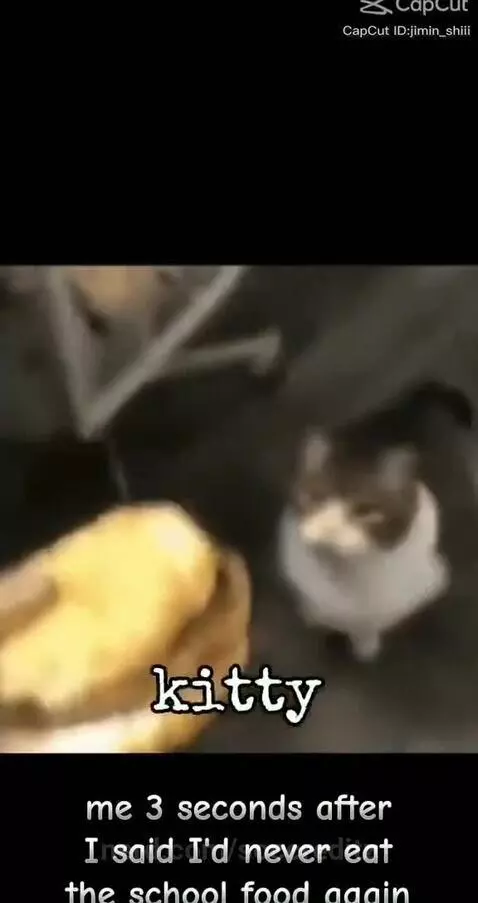 kitteh, cheeseburger, hungy by soccreditz