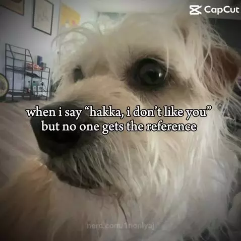 Flamingo^^ by 1nonlyaj