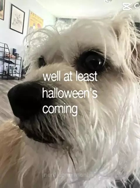 This the only time I can actually be myself tbh without gett... by 1nonlyaj