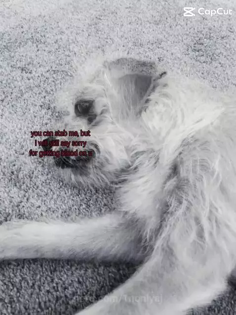 It’s true?.. by 1nonlyaj