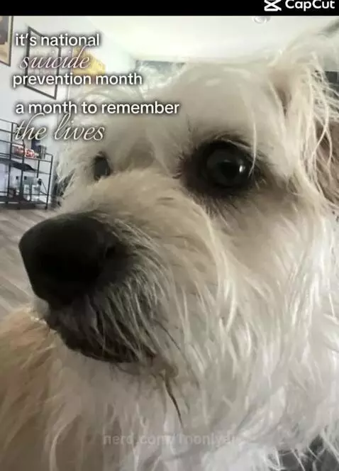 Check on ur loved ones.❤️❤️ I love you all talk to me if som... by 1nonlyaj