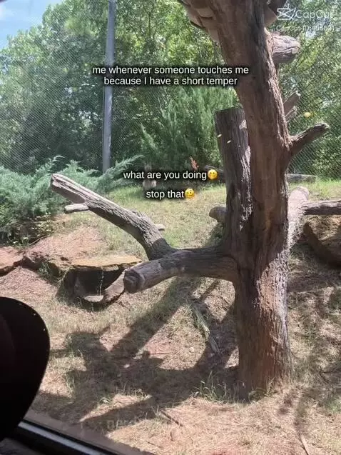 I also don’t like physical touch that much tbh- by 1nonlyaj