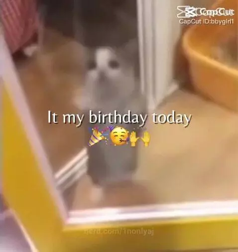 SEPTEMBER 5TH YALL by 1nonlyaj