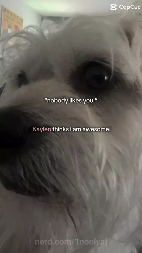 Sigmakid😼 by 1nonlyaj