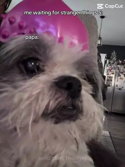 I CANT WIAT FOR THIS NEXT SEASONNNN!!!!! by 1nonlyaj