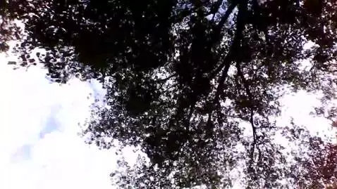 I was walking to school today and this is what happend by coco34444