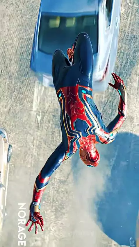 spider- verse by tsy