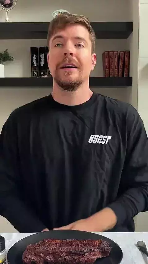 MR BEAST YOUR WELCOME by therizzler