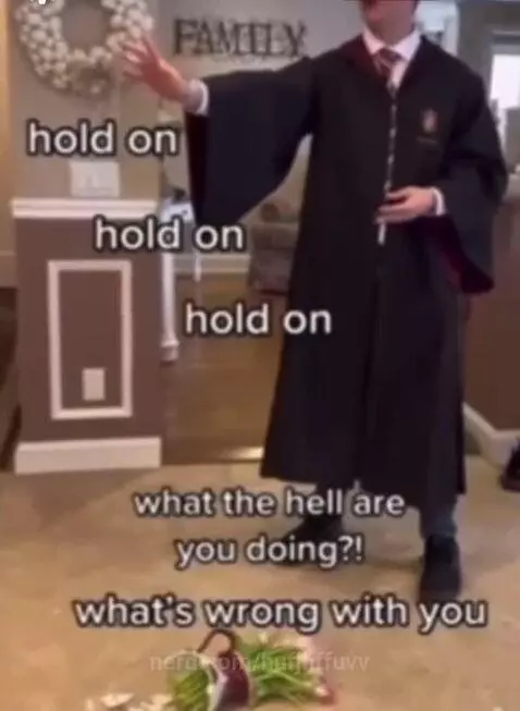 Your a wizard harry by hufjhffuvv