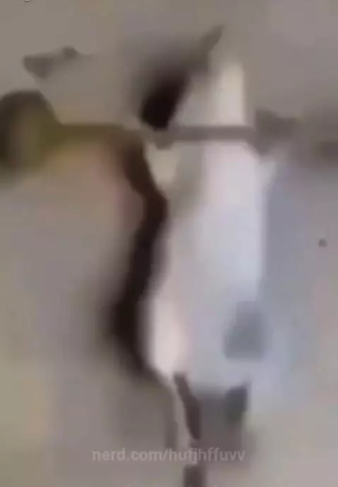 Get better by hufjhffuvv