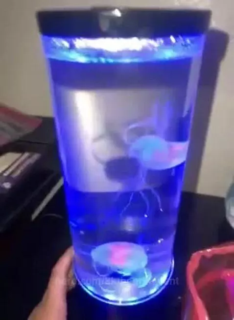 kkthegratedent