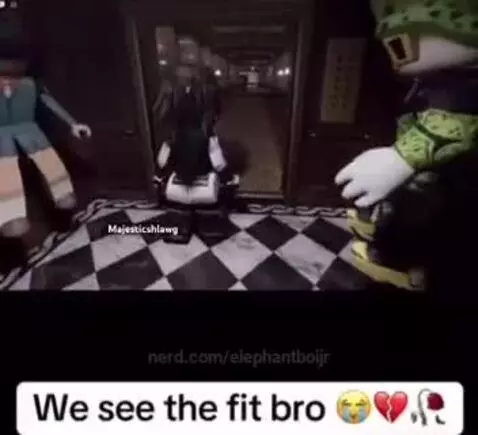 Video by elephantboijr