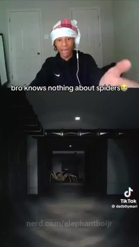 Video by elephantboijr