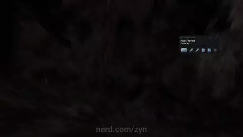 video by zyn
