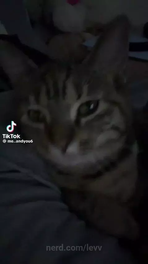 WE at the beach by levv