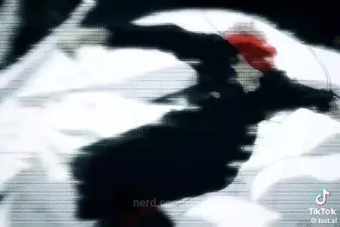 Not my edit fyi by levv