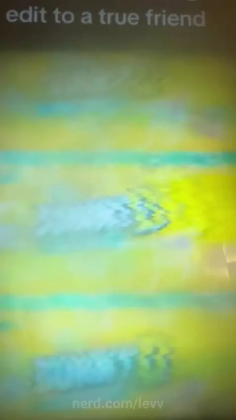 Sunny D edit by levv