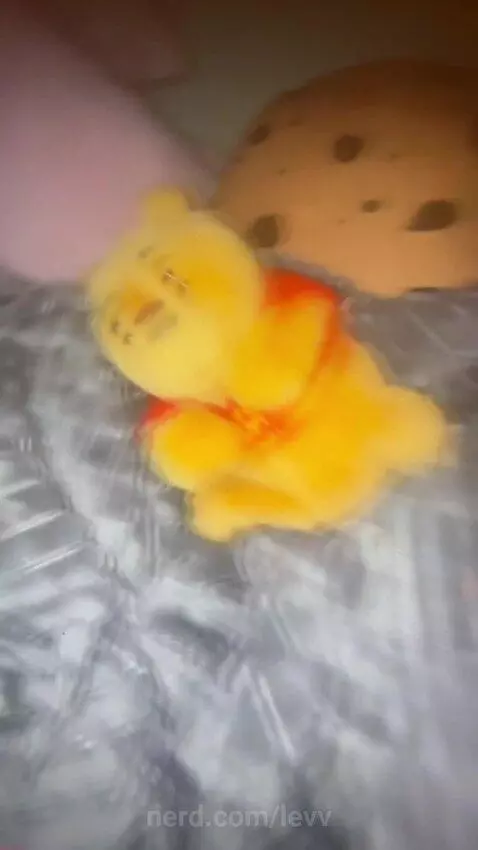 Meet winne the poo by levv