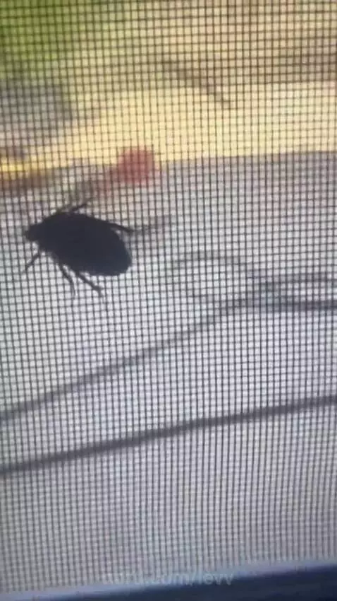 What I do in my freetime 🤣 by levv