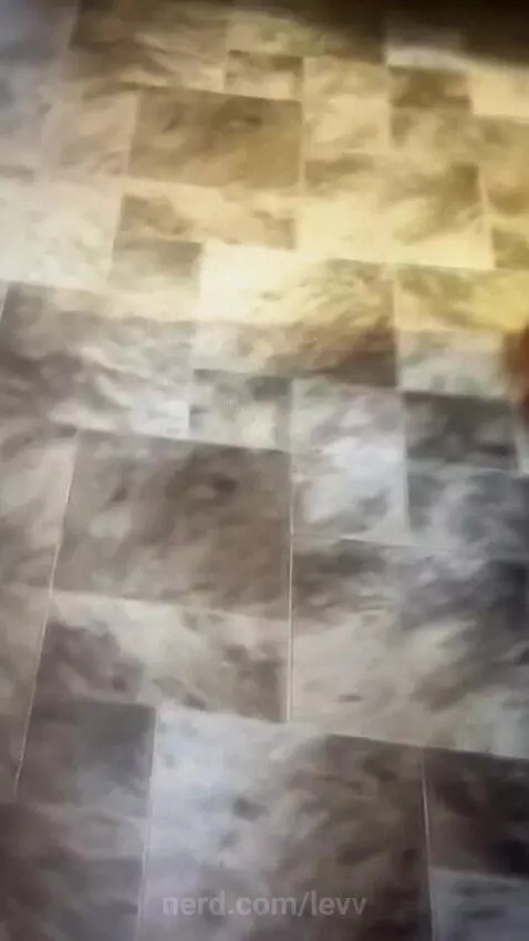 But we got this frickin peanut butter by levv