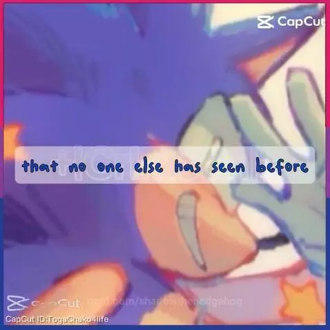 Sonic x Shadow by shadowthehedgehog